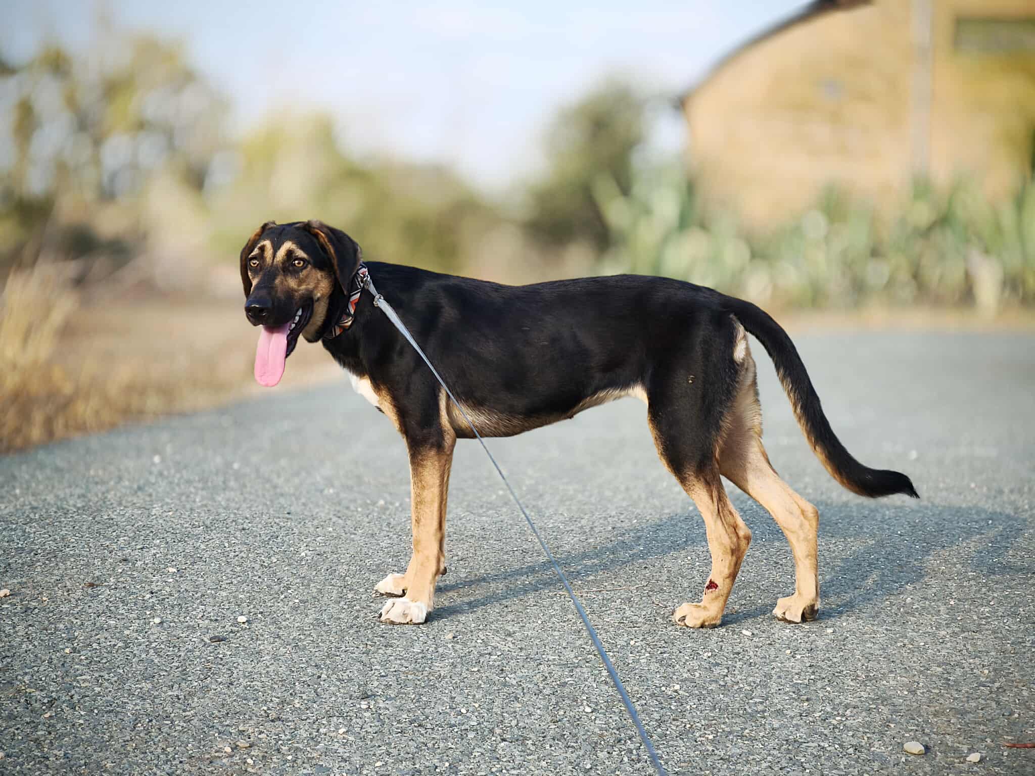 555557398_1223664963135820_379151153516085042_n