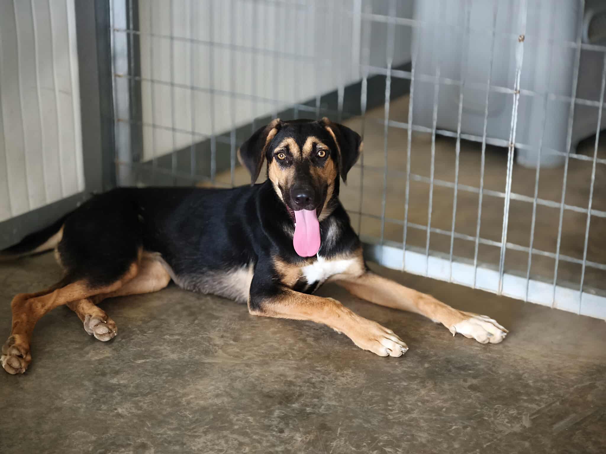 555559131_1223664946469155_6029616858995369592_n