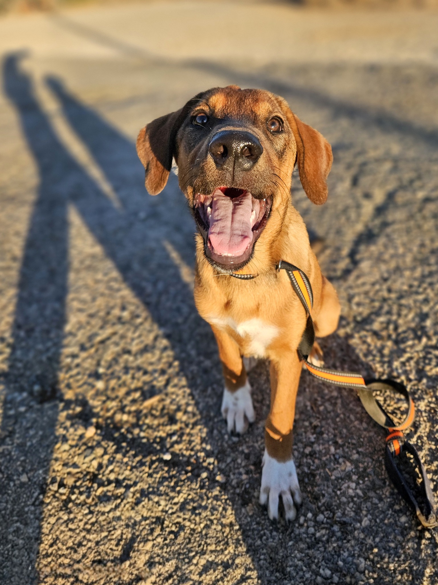 555625753_1222957383206578_5358386201372488867_n