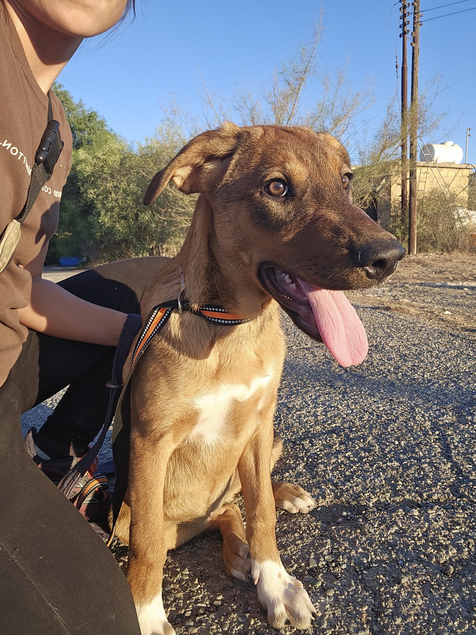 555635114_1222957509873232_2571390344914515180_n