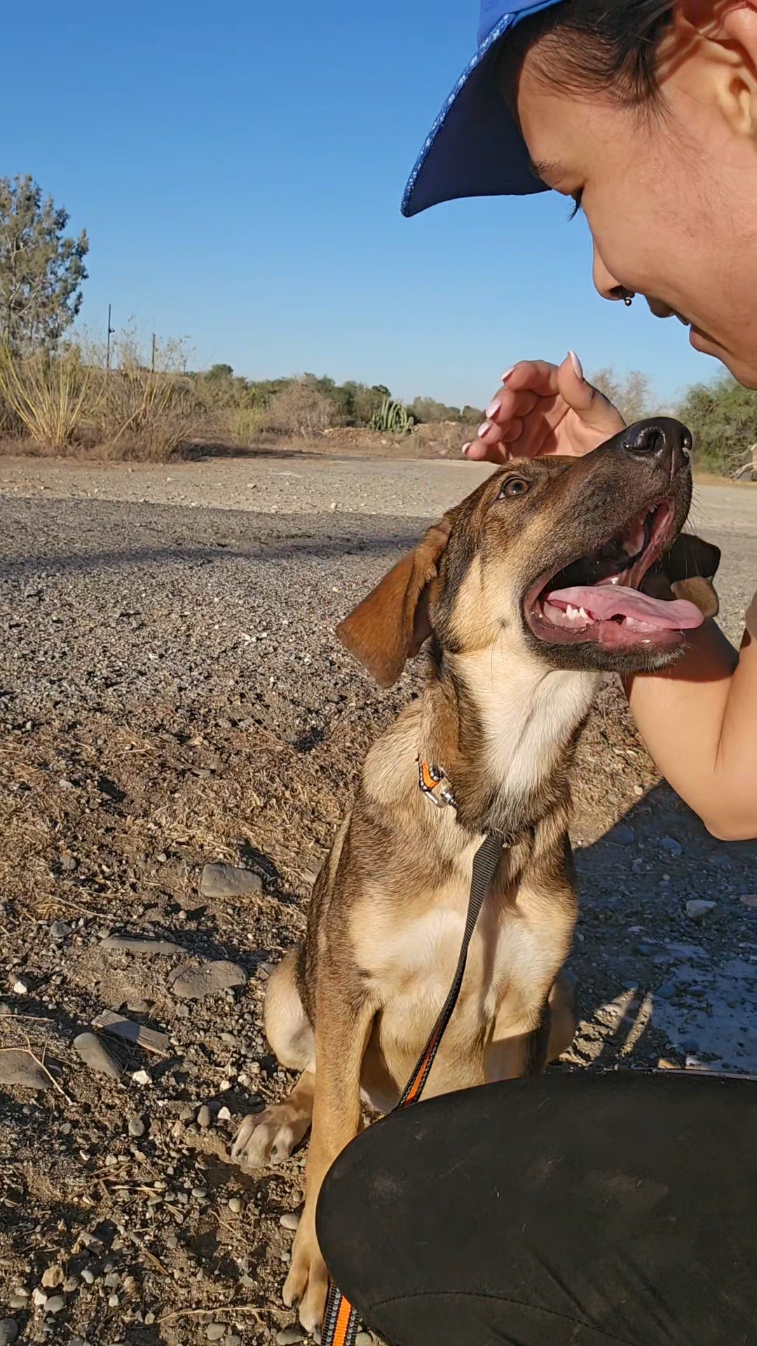 555937928_1222978719871111_8035096258840696507_n