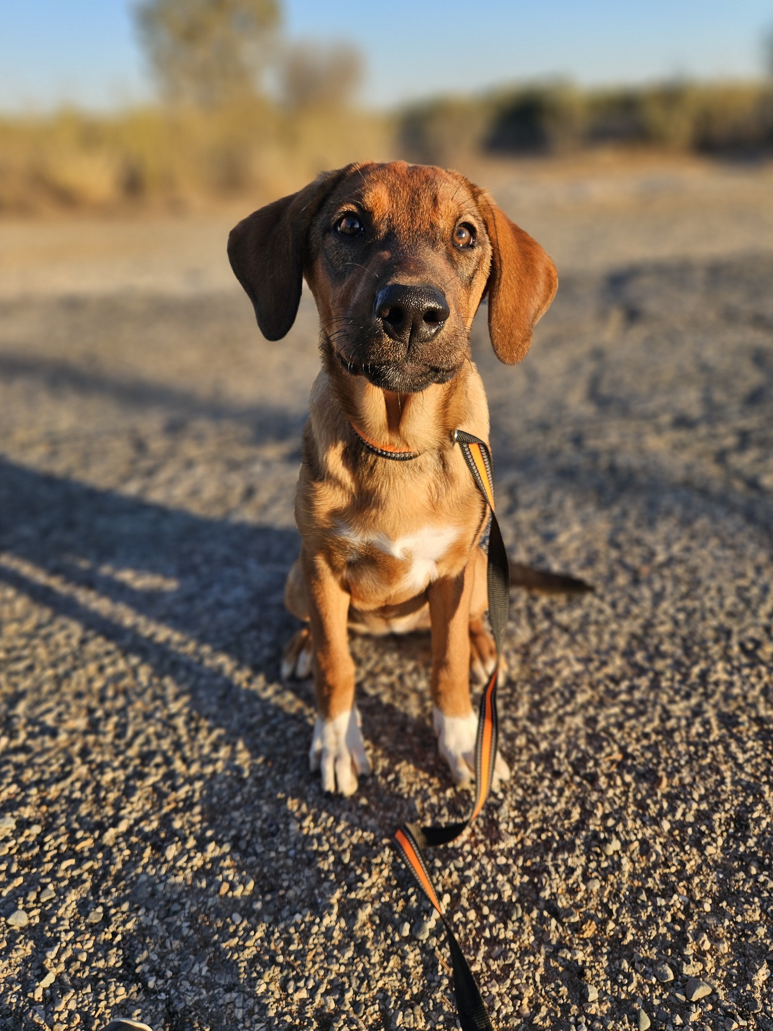 556391381_1222957513206565_4039421072375833332_n