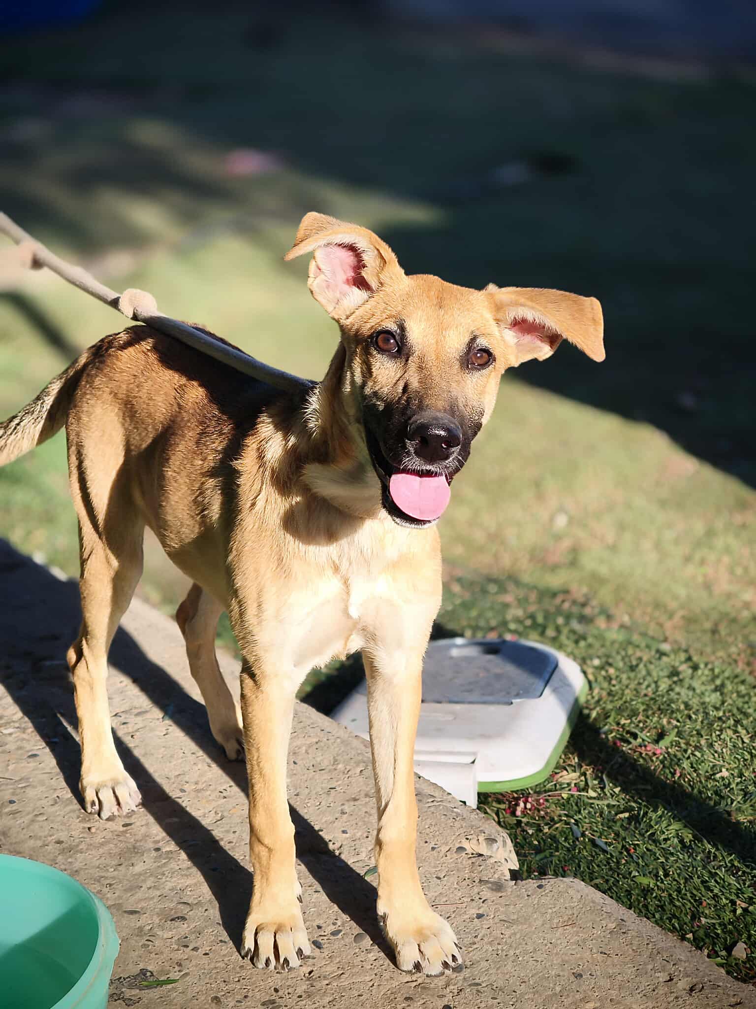 556786250_1227334209435562_4464222752079415371_n