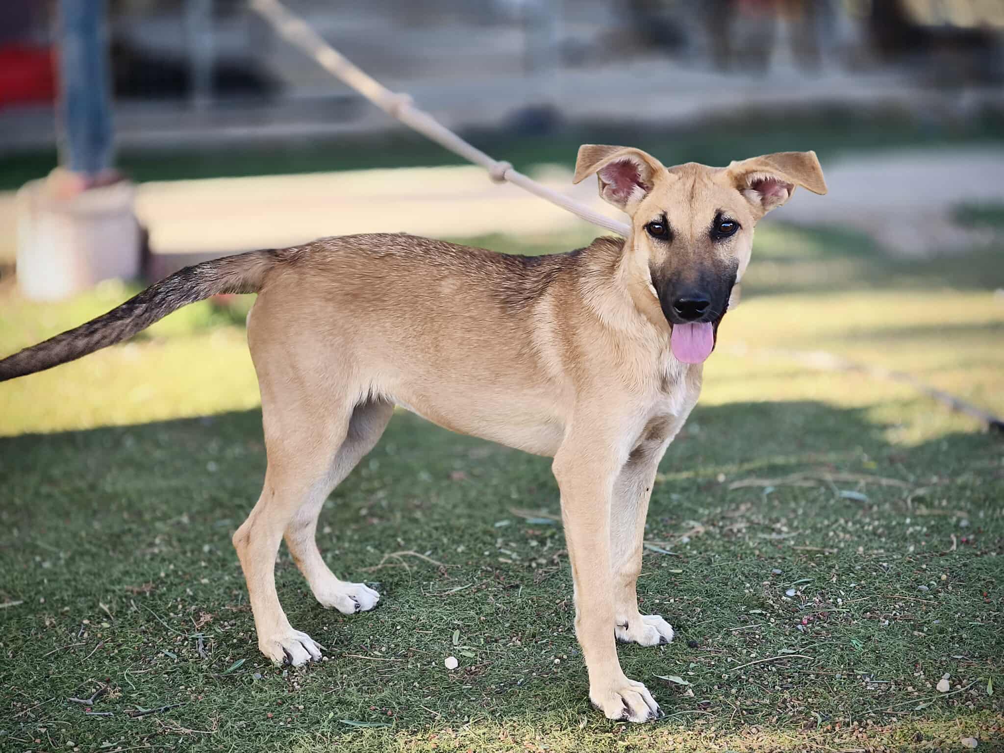 556796806_1227334212768895_6292998944956723855_n