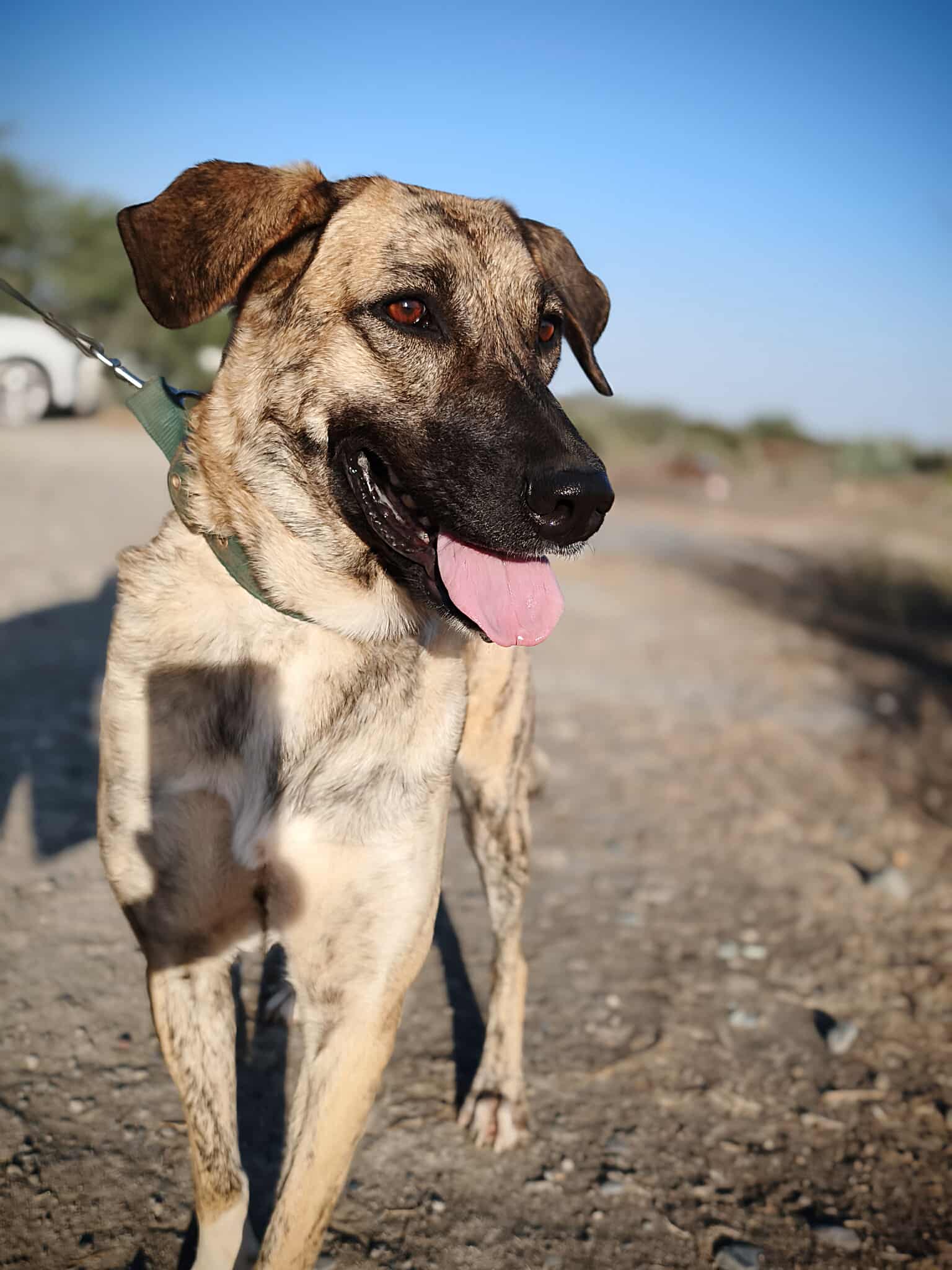 556799875_1229294369239546_1444764097843264067_n