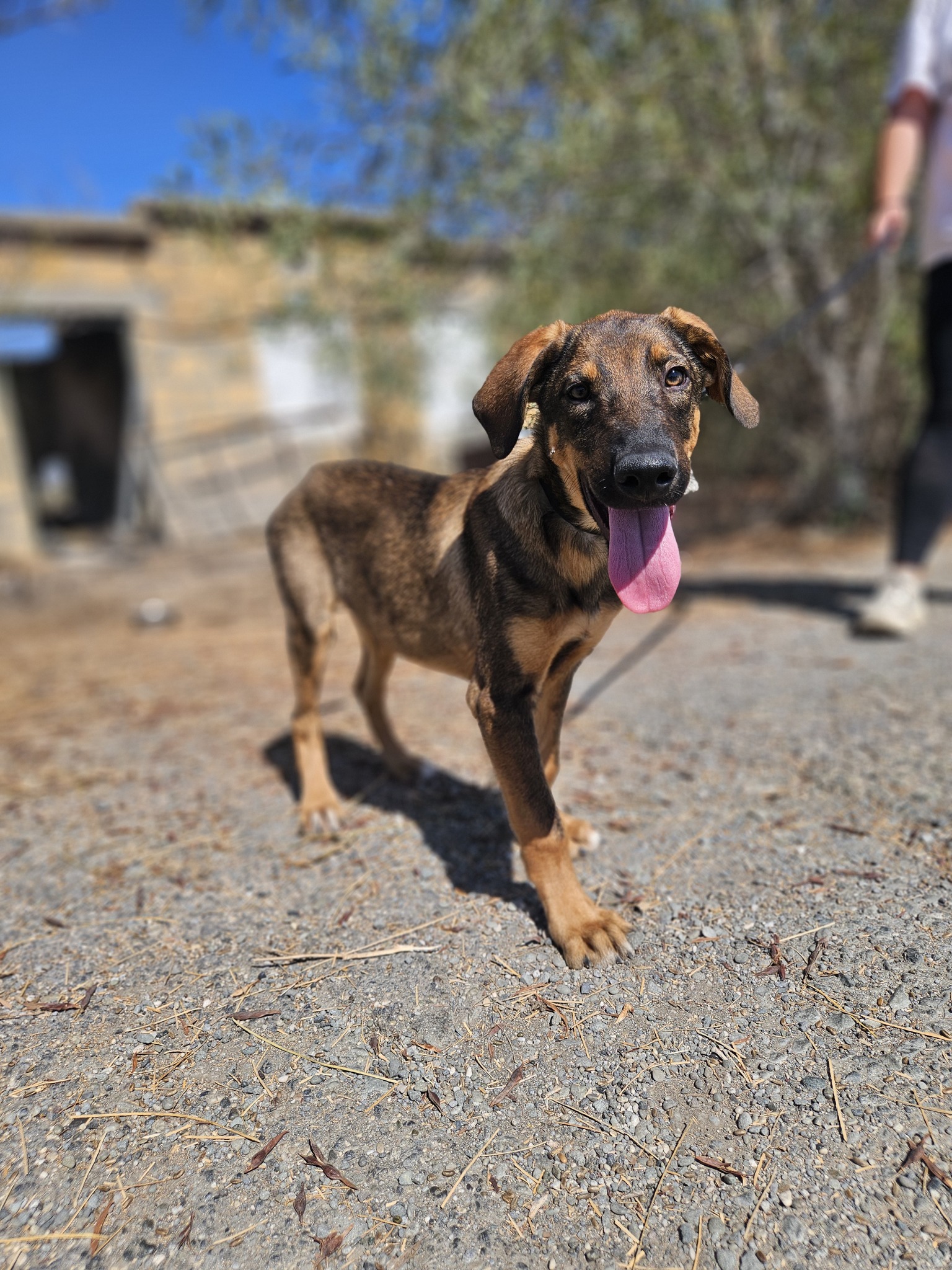 556962351_1229303055905344_5106140038771516116_n