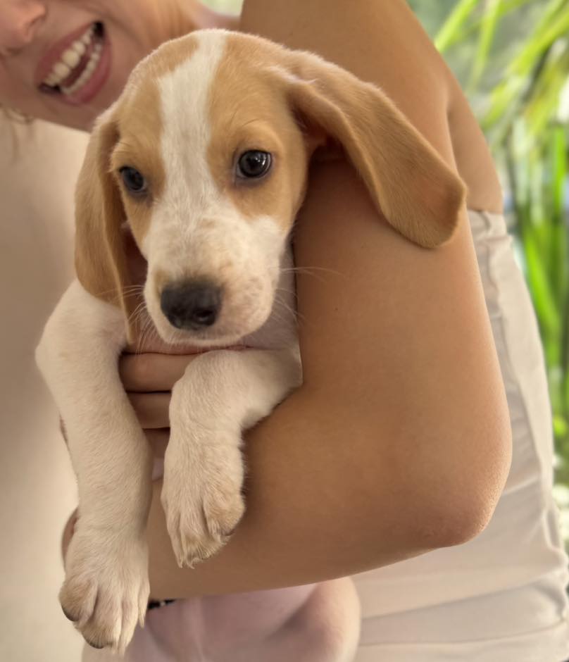 557089409_810463118163534_3798297752394467283_n