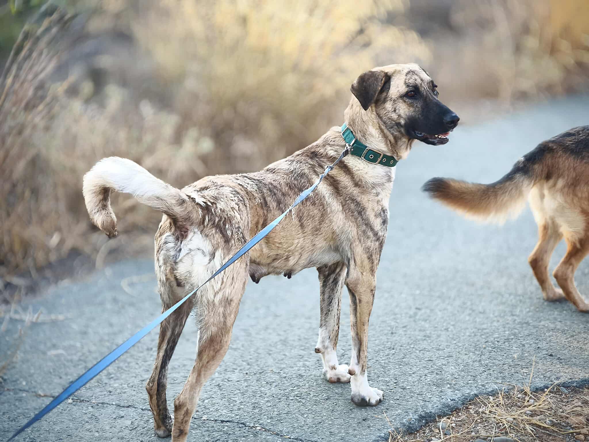 557138682_1229294365906213_7892623490726431406_n