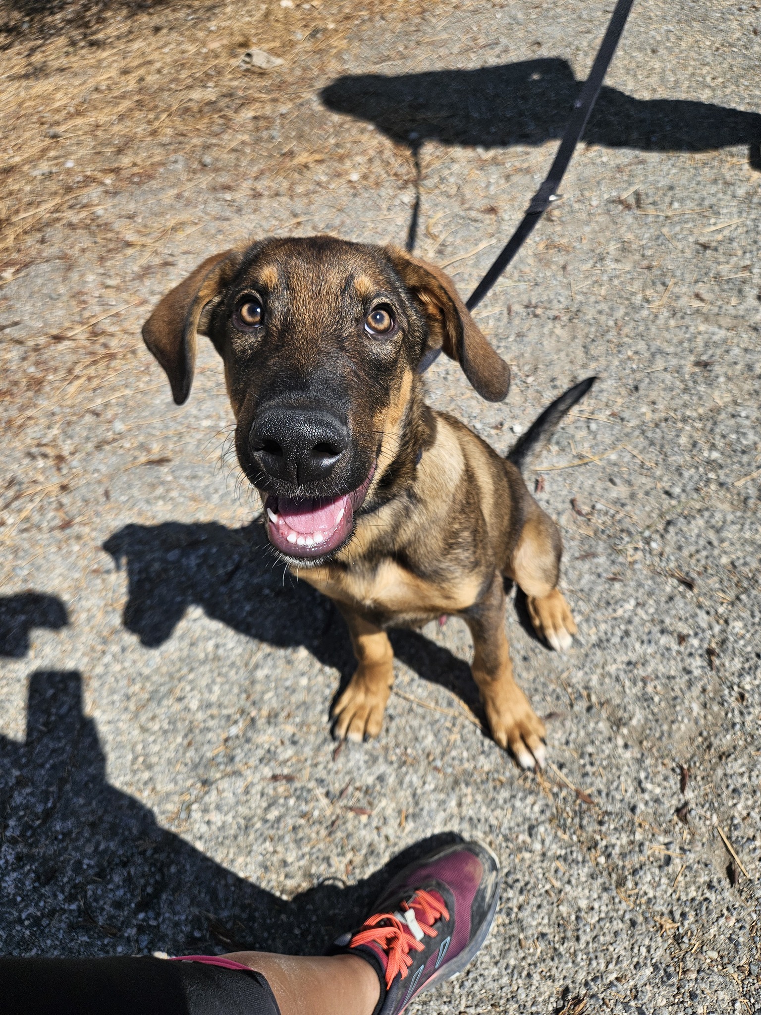 557176854_1229302959238687_2450716627538939808_n