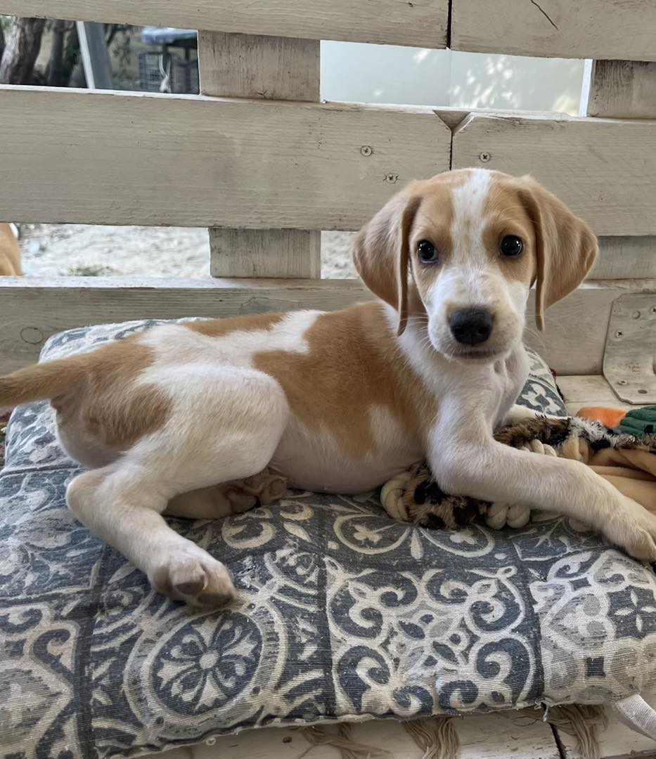 557388127_810463121496867_527613799058466894_n