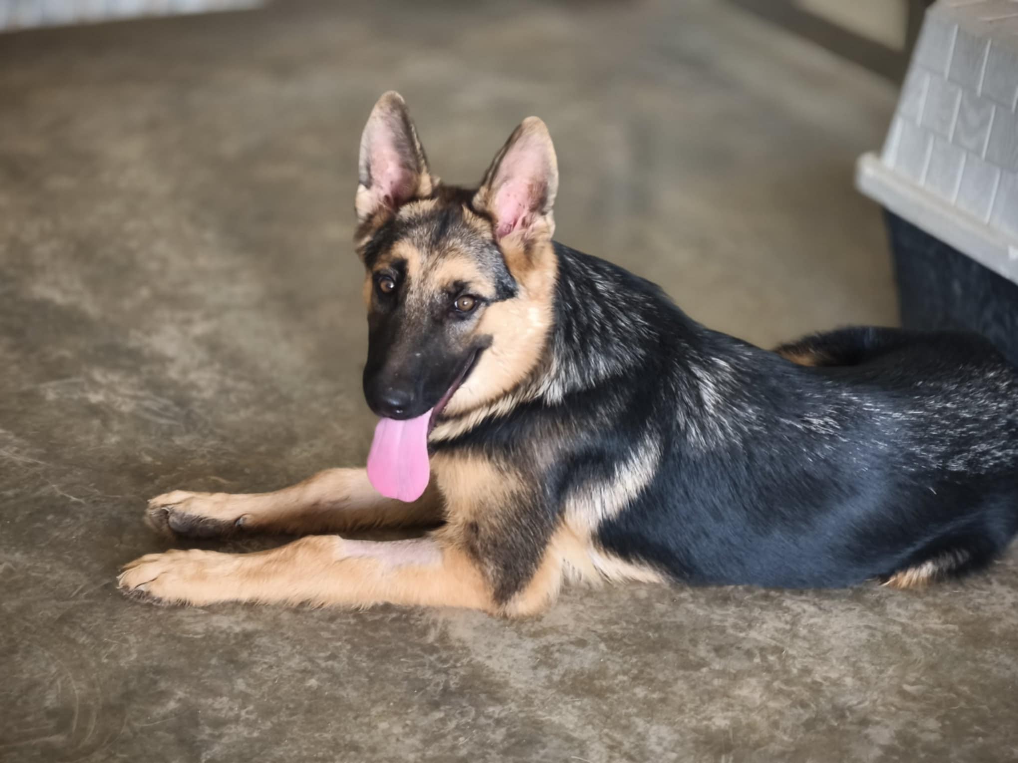 557459960_1230990242403292_21955170289963568_n