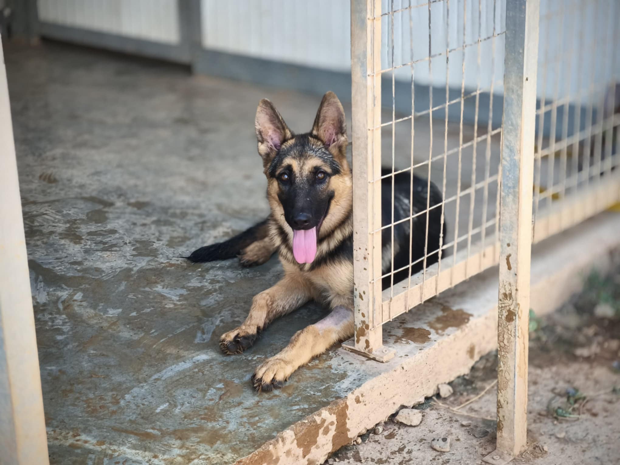 557628602_1230990279069955_3678428849711589142_n