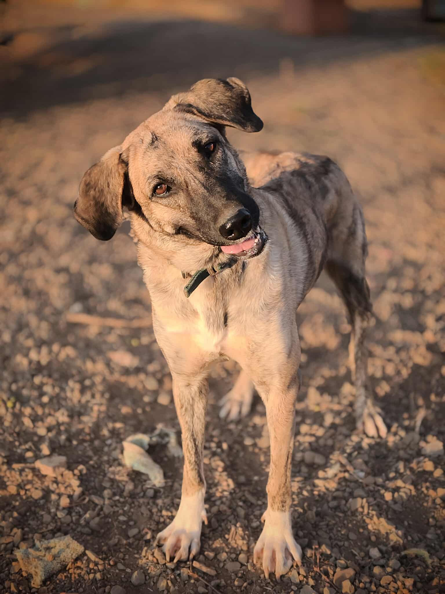 557641653_1229294355906214_3569619250215535803_n