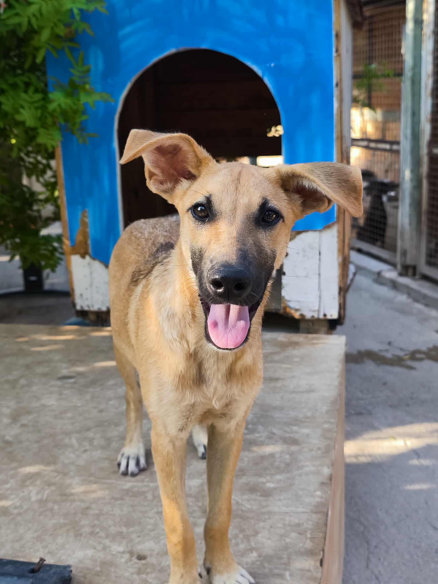 557688576_1227334199435563_7106944552745929916_n