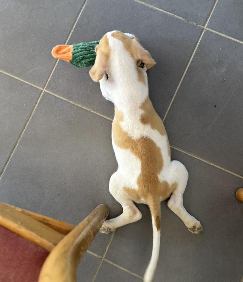 557803986_810463114830201_23039506188423783_n