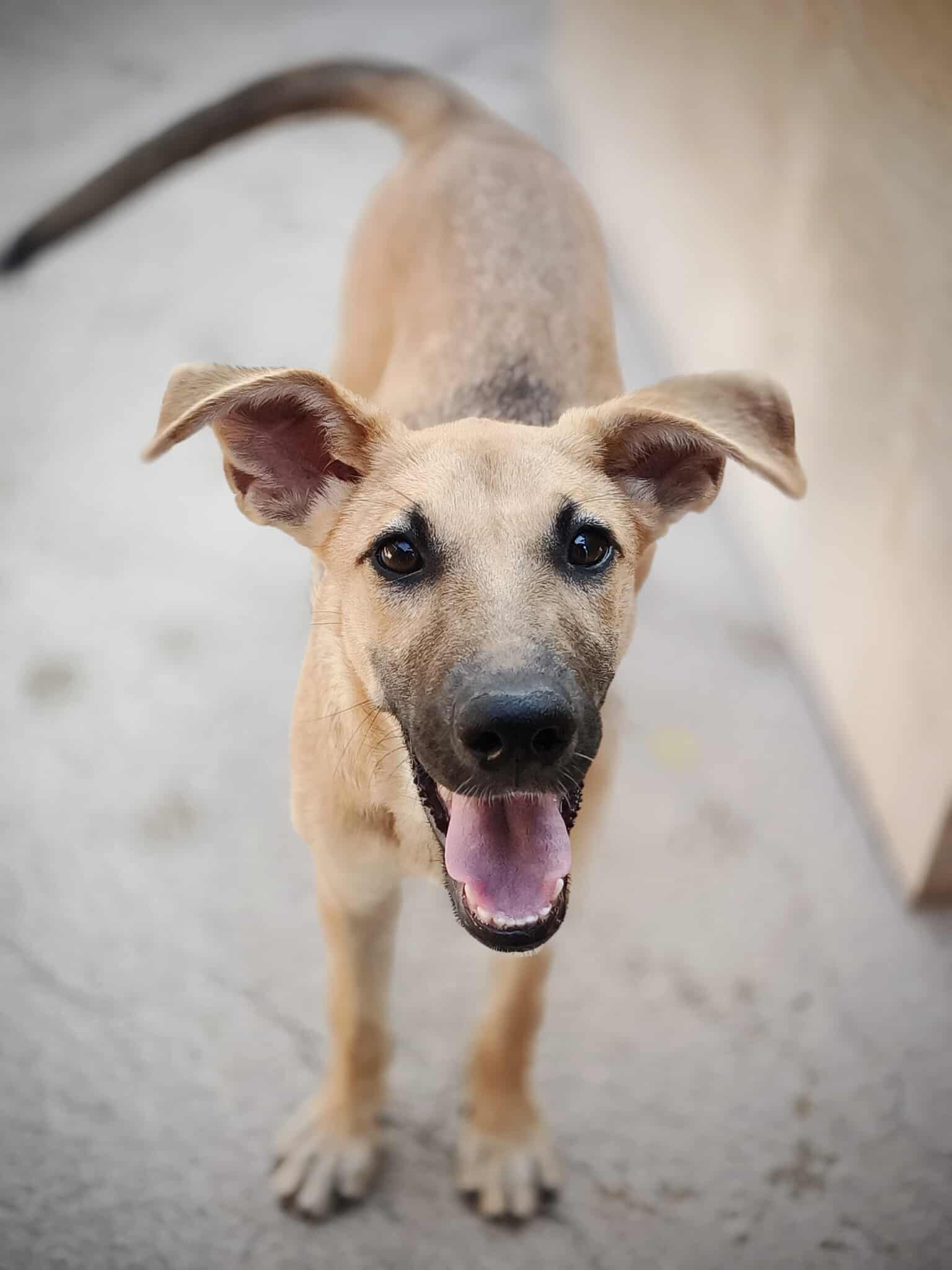 558001030_1227334182768898_93975093417878808_n