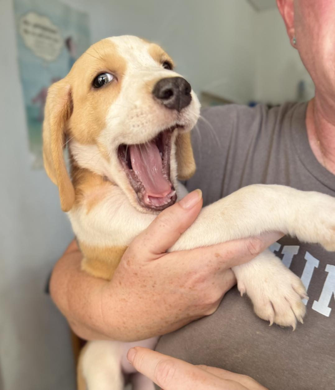 558059140_810463171496862_5600068396209643540_n