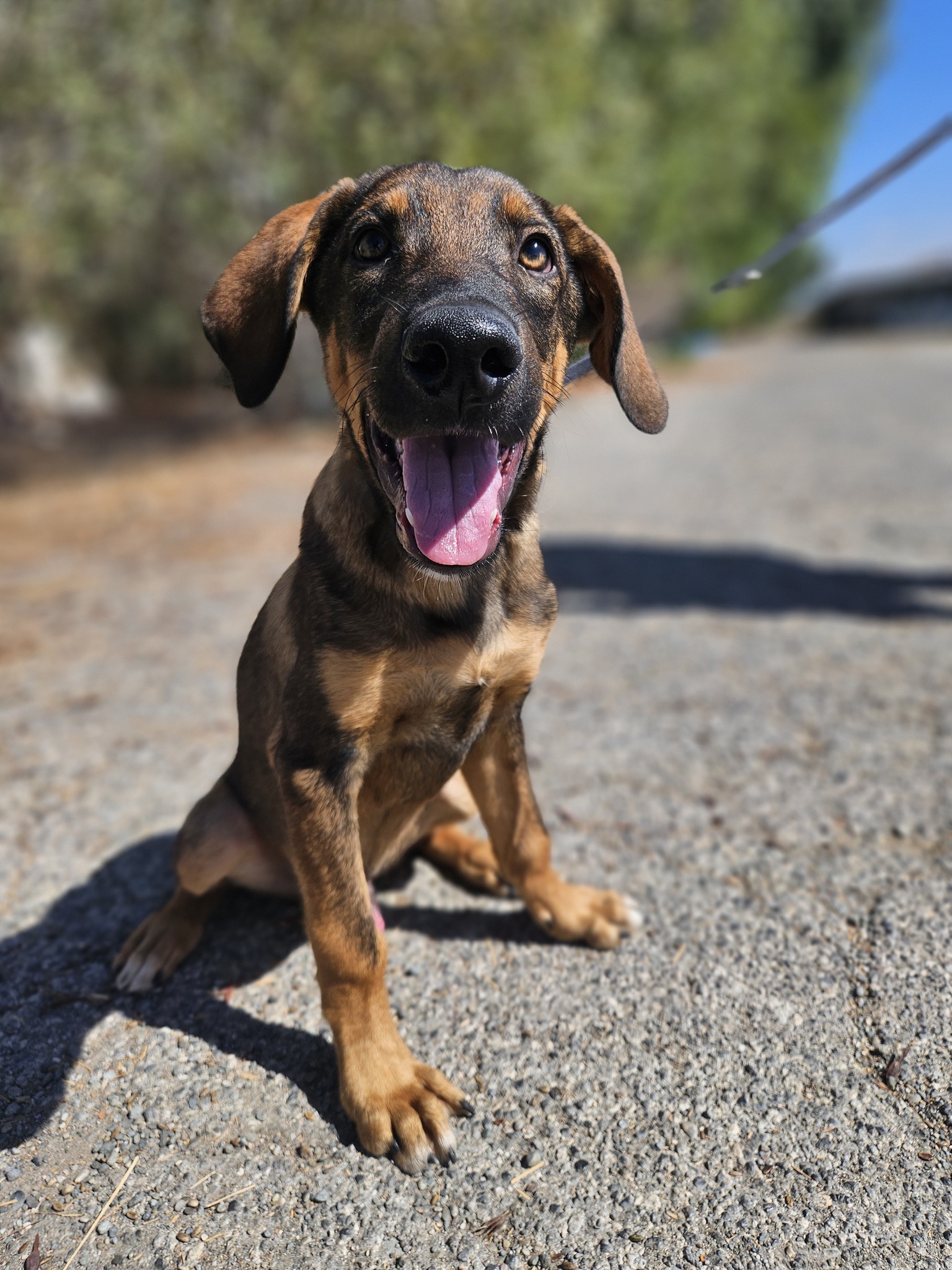 558128787_1229303005905349_8924549039090579845_n