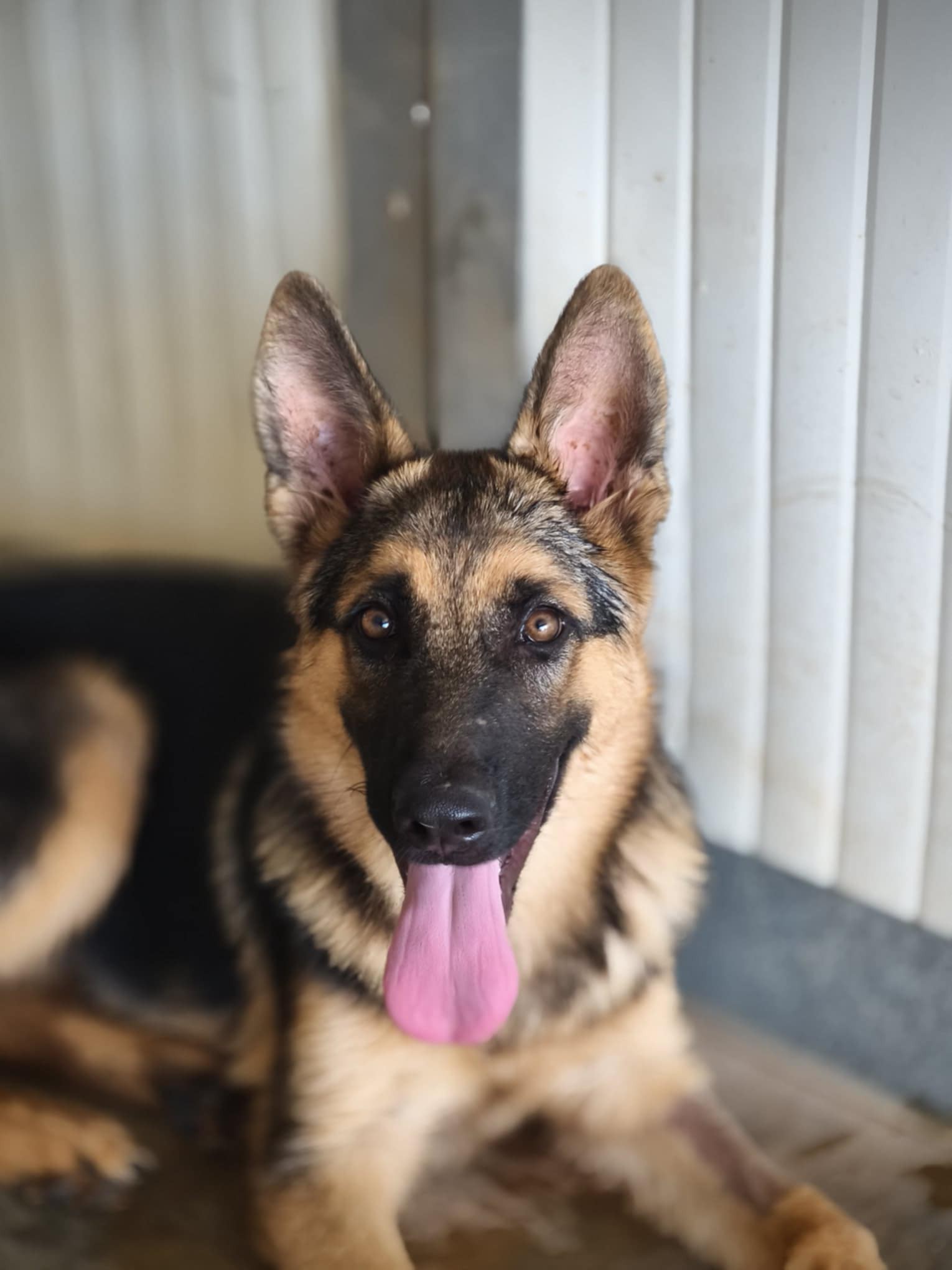 558183813_1230990192403297_4214578300118769812_n