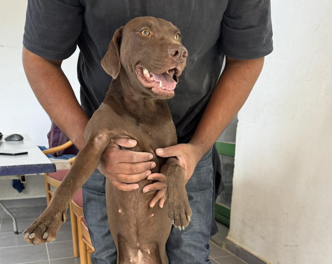 558354629_816892644187248_4931659490007415830_n