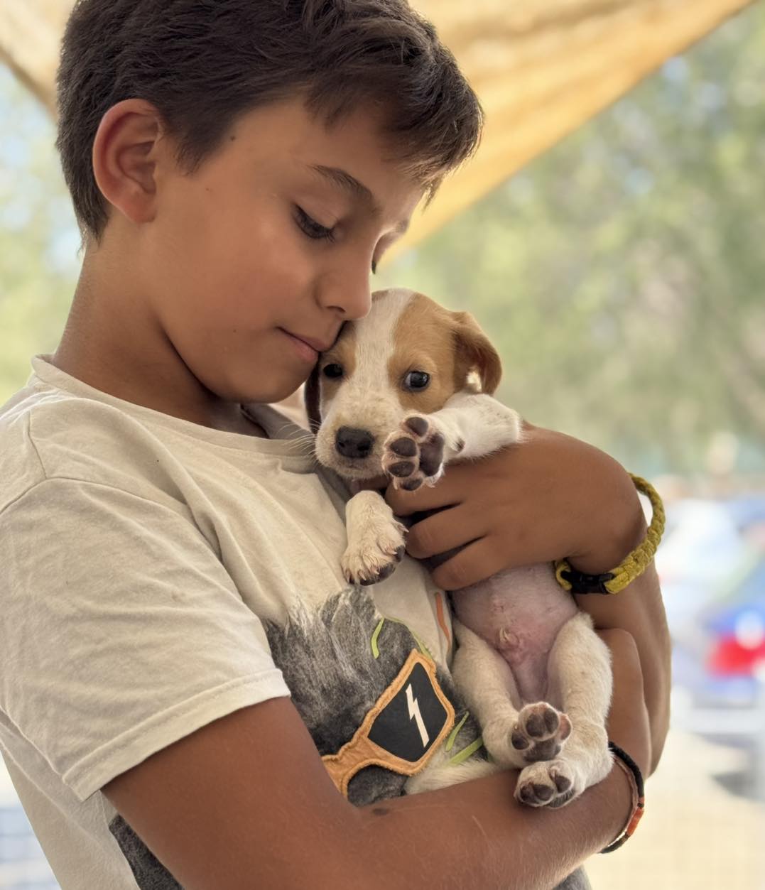 558862525_810463124830200_2678438897491759600_n