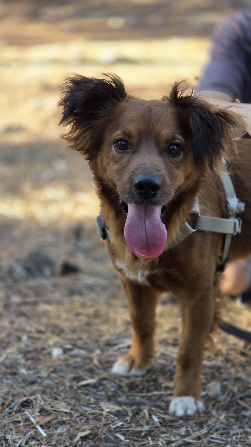 558960060_122154773804771468_5828839443594597996_n