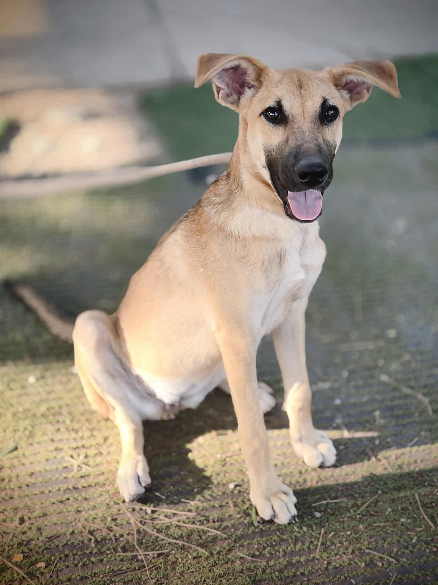 558969002_1227334206102229_4559143028916284067_n