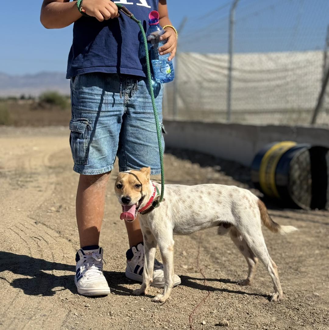 559005166_819575380585641_6511305068594235971_n