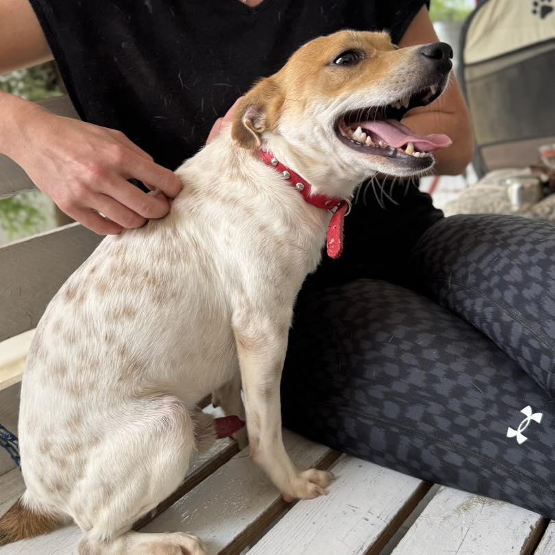 559143448_819575370585642_1660128790462611564_n