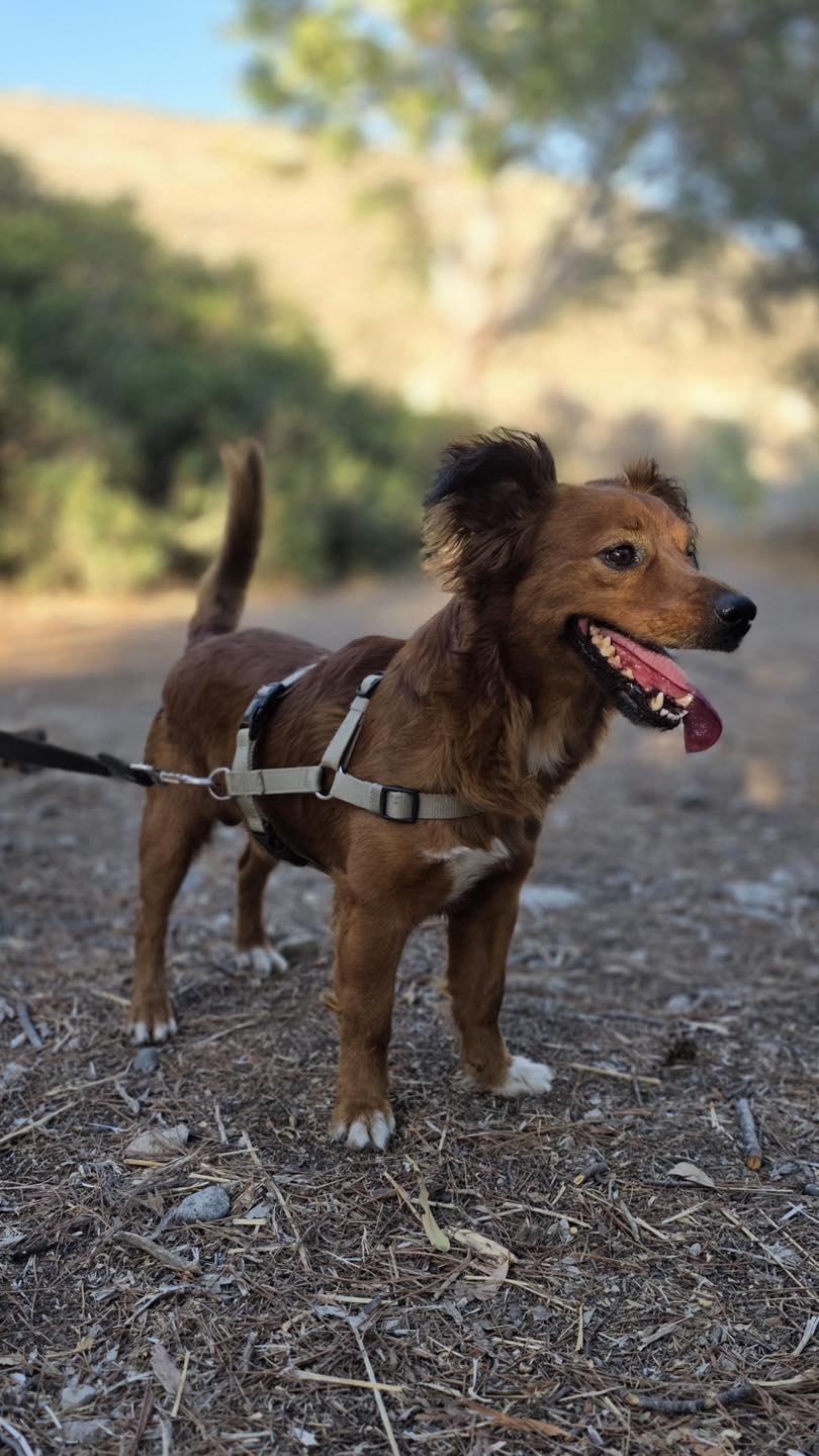 559161233_122154773852771468_4482839149842975638_n