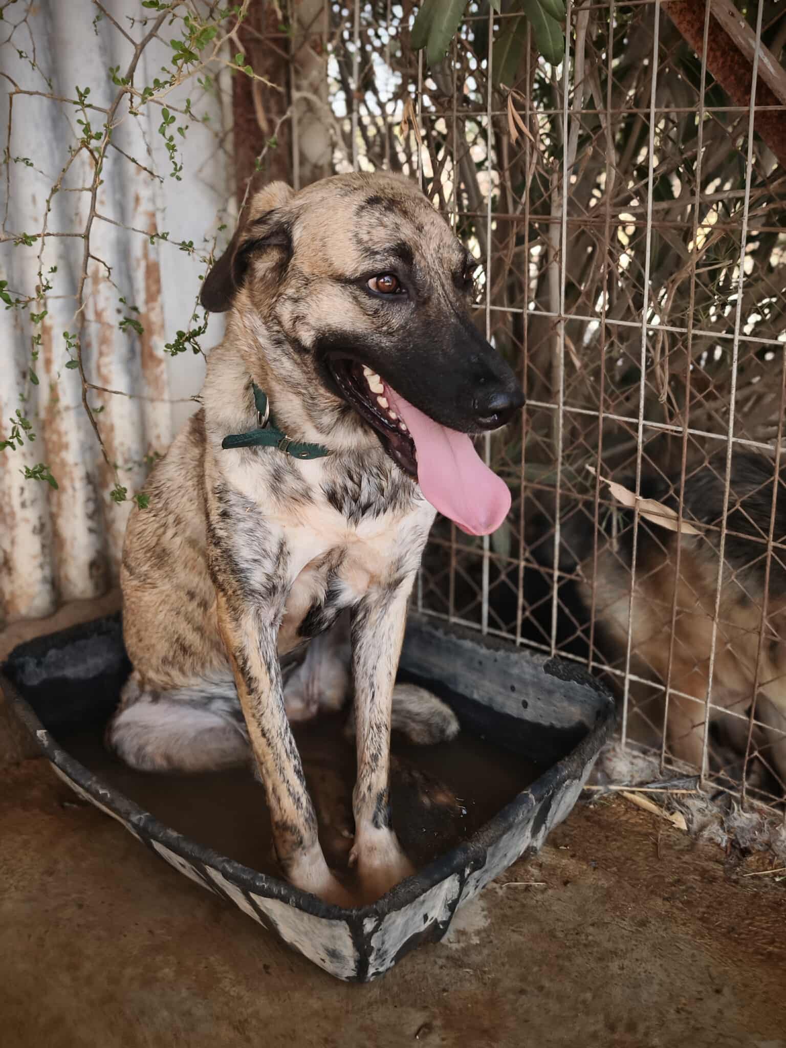 559172891_1229294372572879_2069993642473412954_n