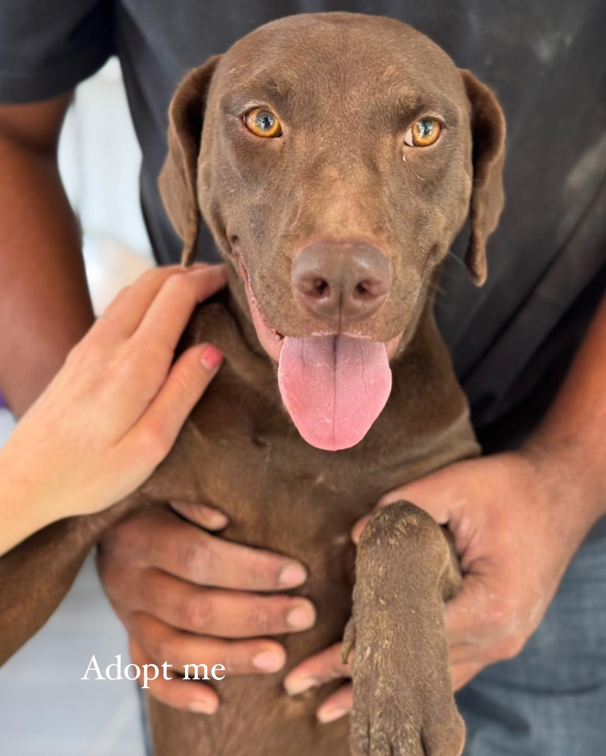 559303076_816892634187249_8984730956788839485_n