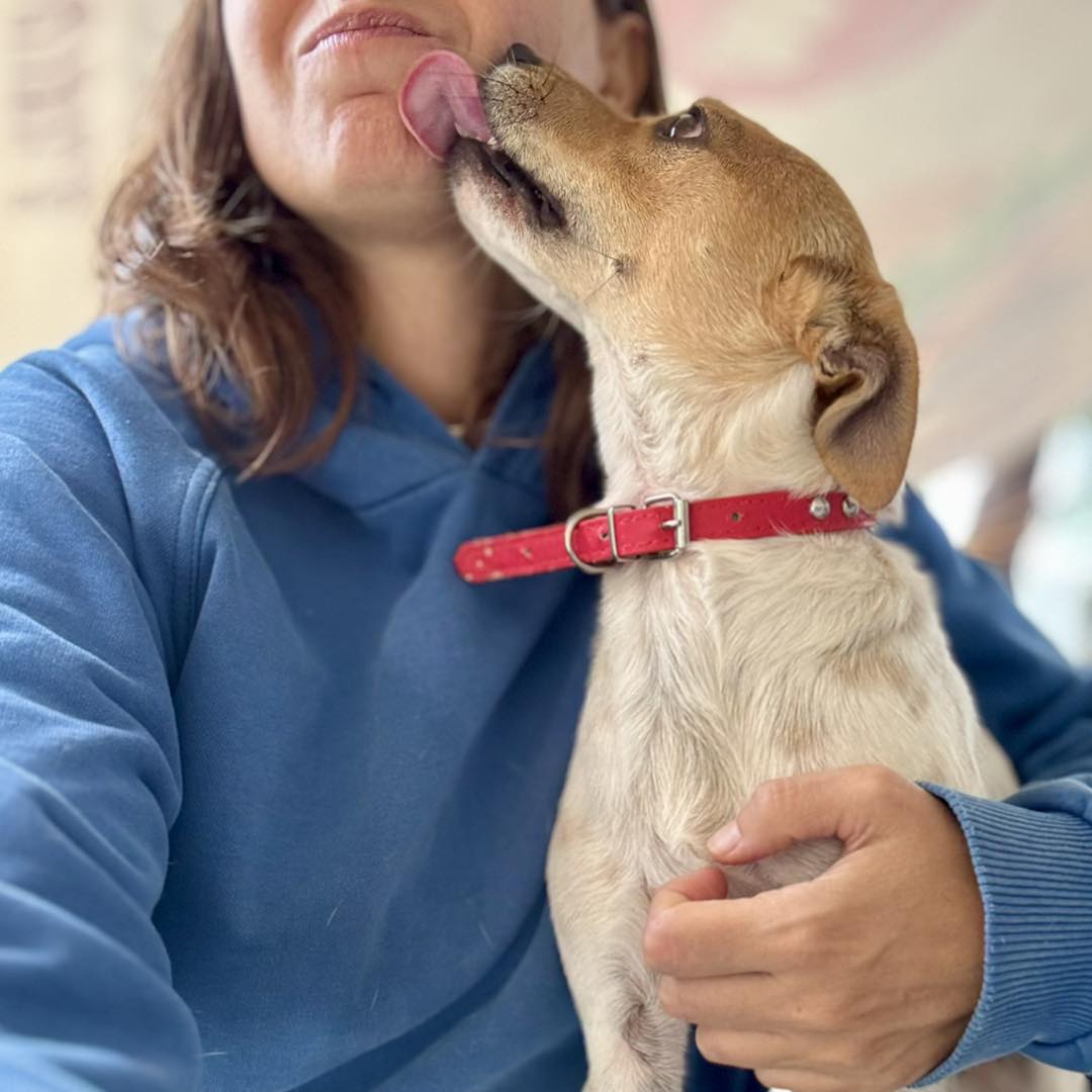 559391149_819575377252308_2181164108925092868_n