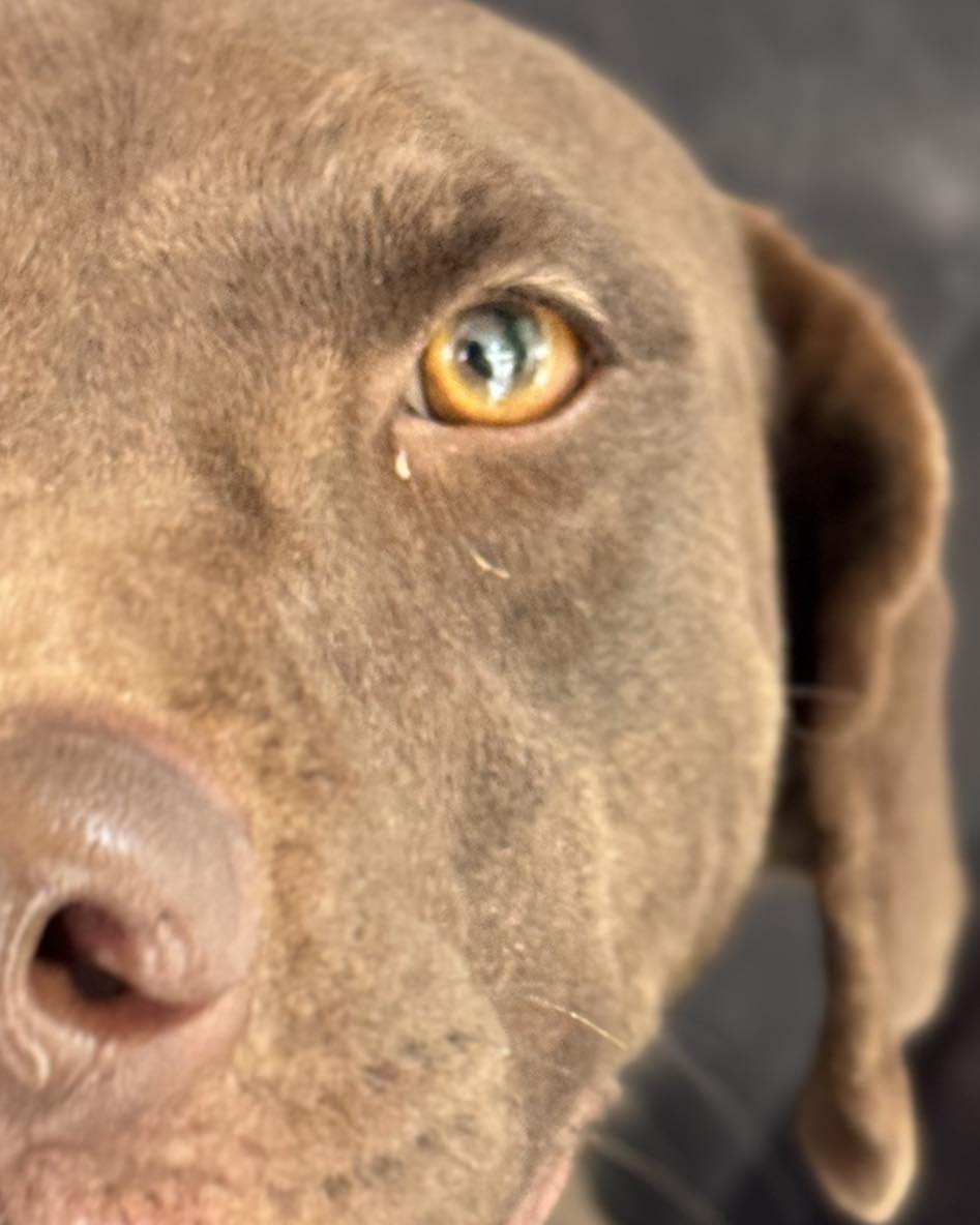 560060531_816892640853915_3302748084462732952_n