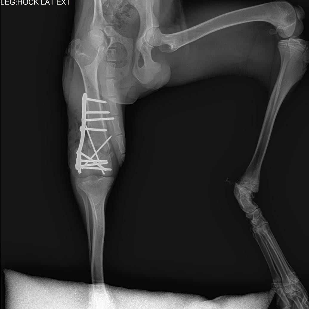 560462325_821045680438611_6915292063121837966_n