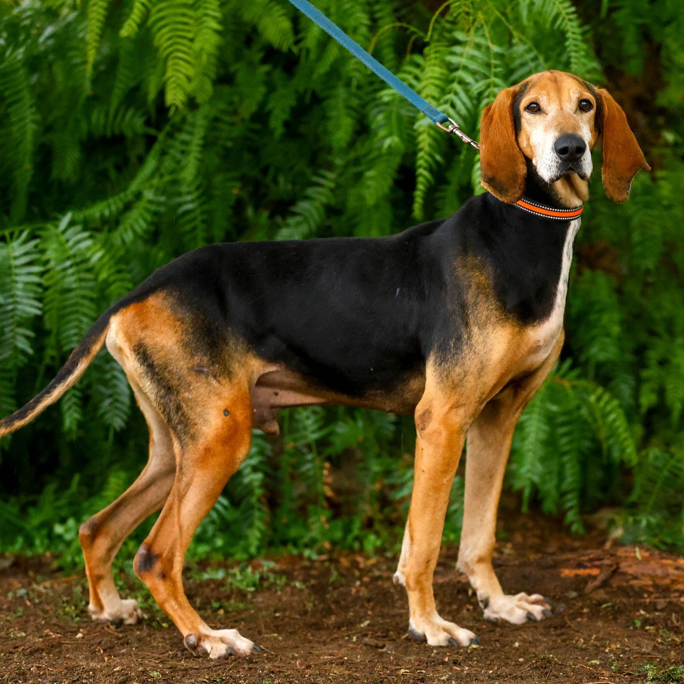 560731575_1239573084878341_2070253331847572847_n