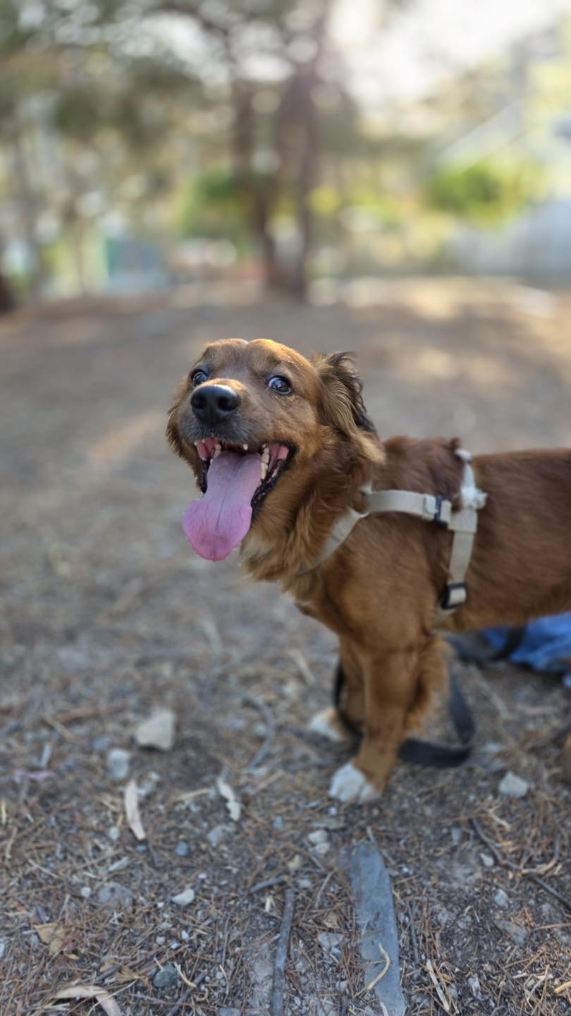 561009599_122154773750771468_8239477790263303926_n