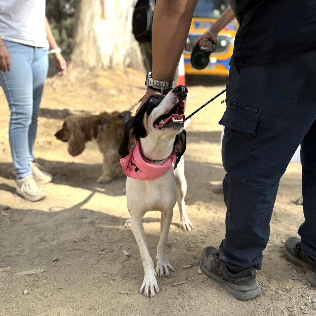 561381084_821045803771932_3891351779336461630_n