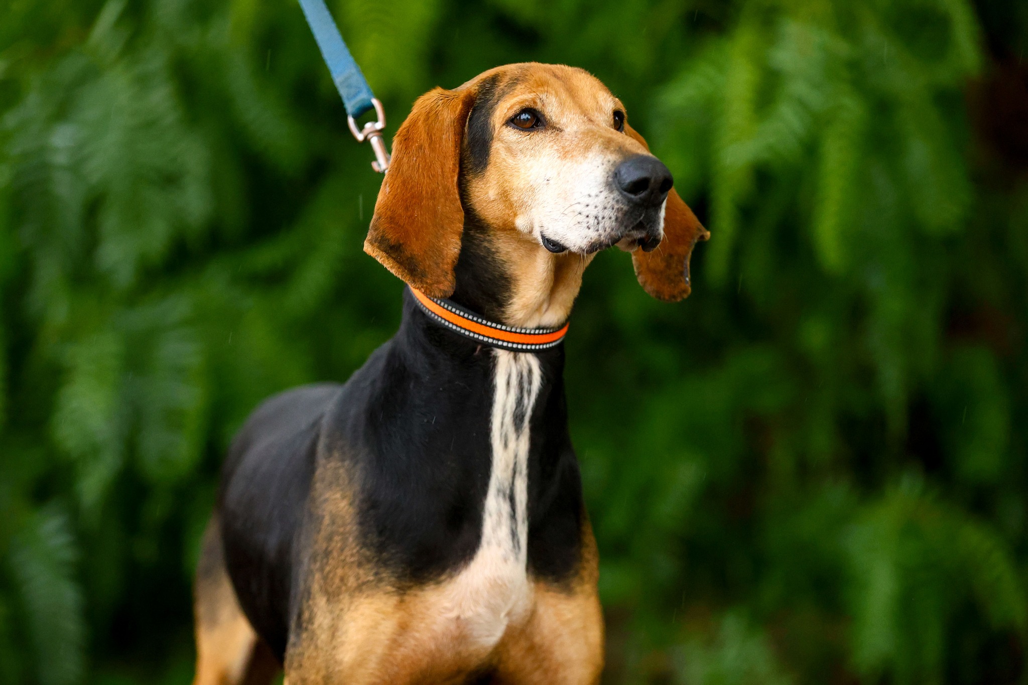 561382408_1239570931545223_4261989346123290172_n