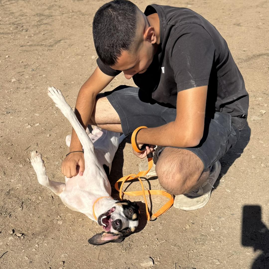 561530256_821045753771937_104986817312700287_n