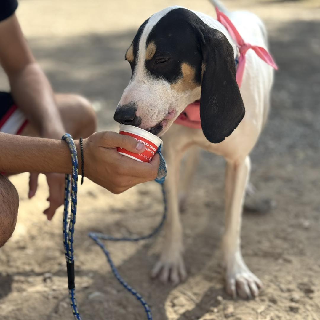 561536940_821045683771944_8433834845520072133_n