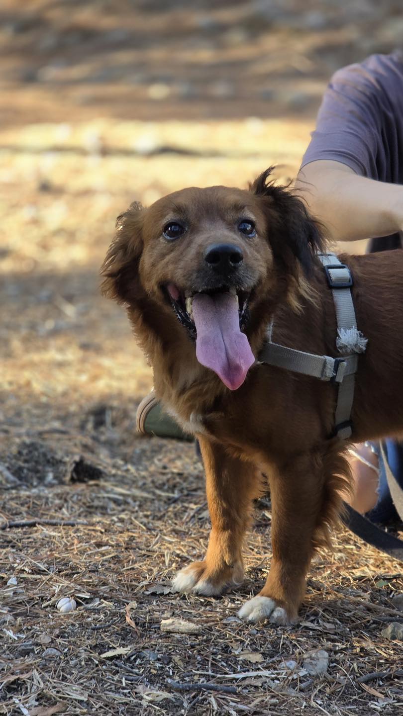 561718941_122154773846771468_2121699781756538230_n