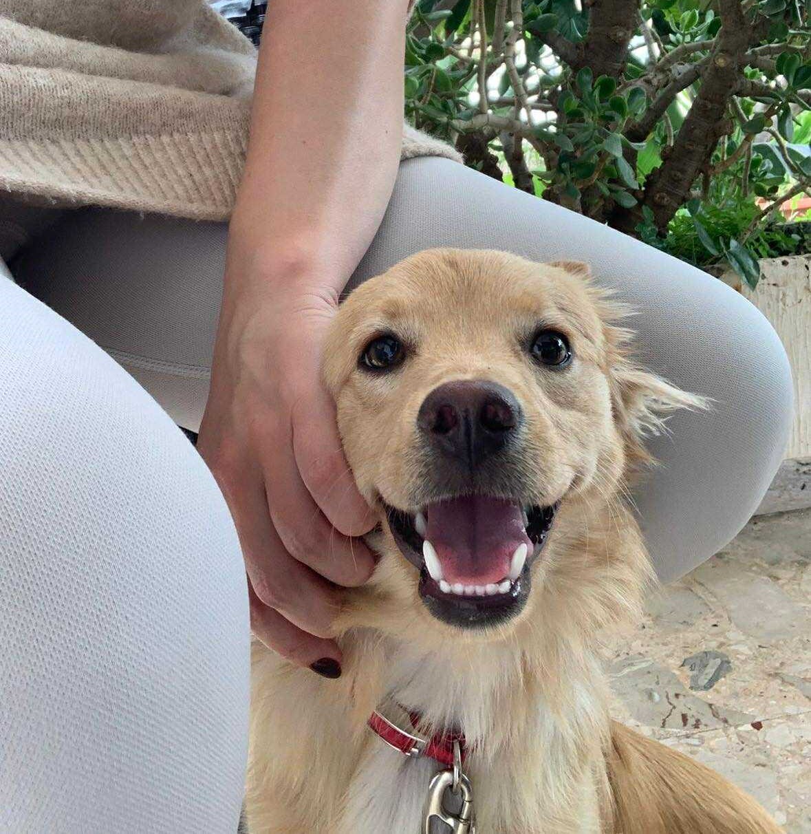 561730663_889109406772862_912569345740718995_n