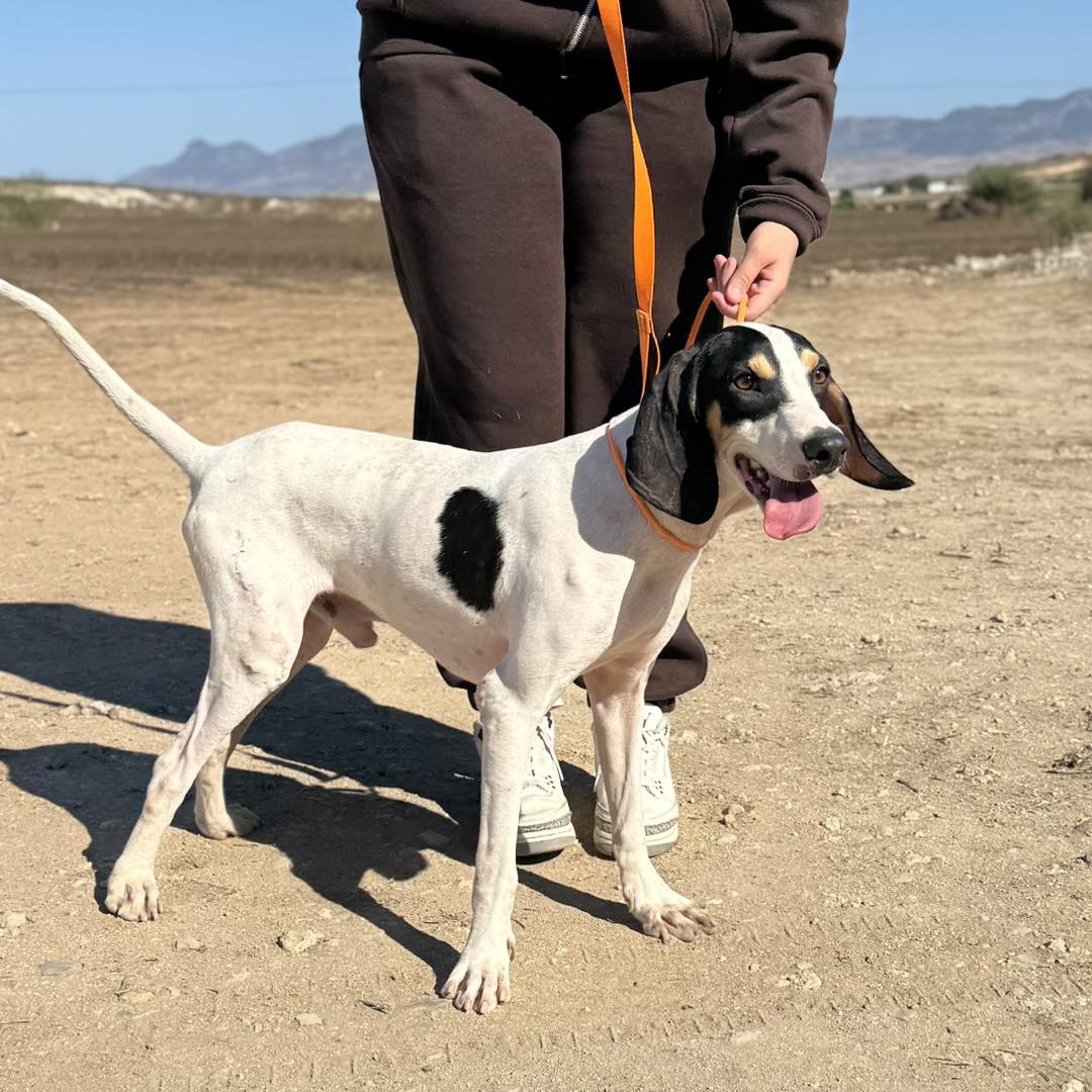 561867857_821045807105265_269267530279158427_n