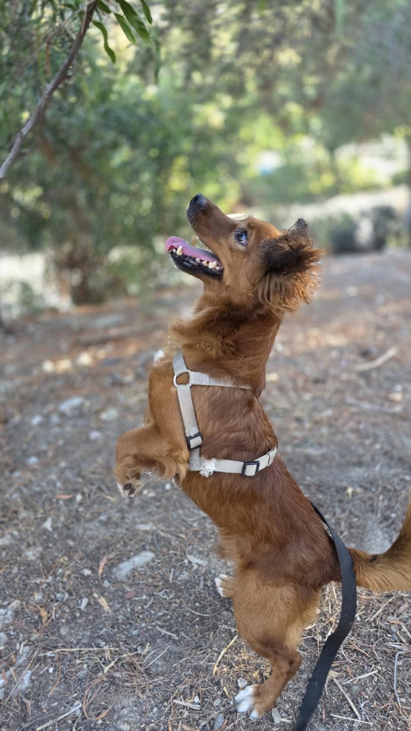 563418761_122154773810771468_1456751323005625882_n