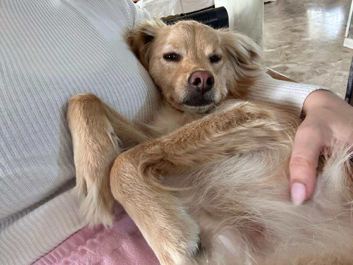 564612247_889109693439500_4906669231296268914_n