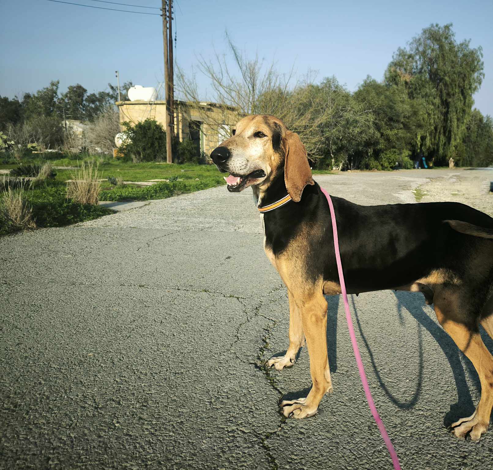 565221186_1239570884878561_6977959889163710613_n