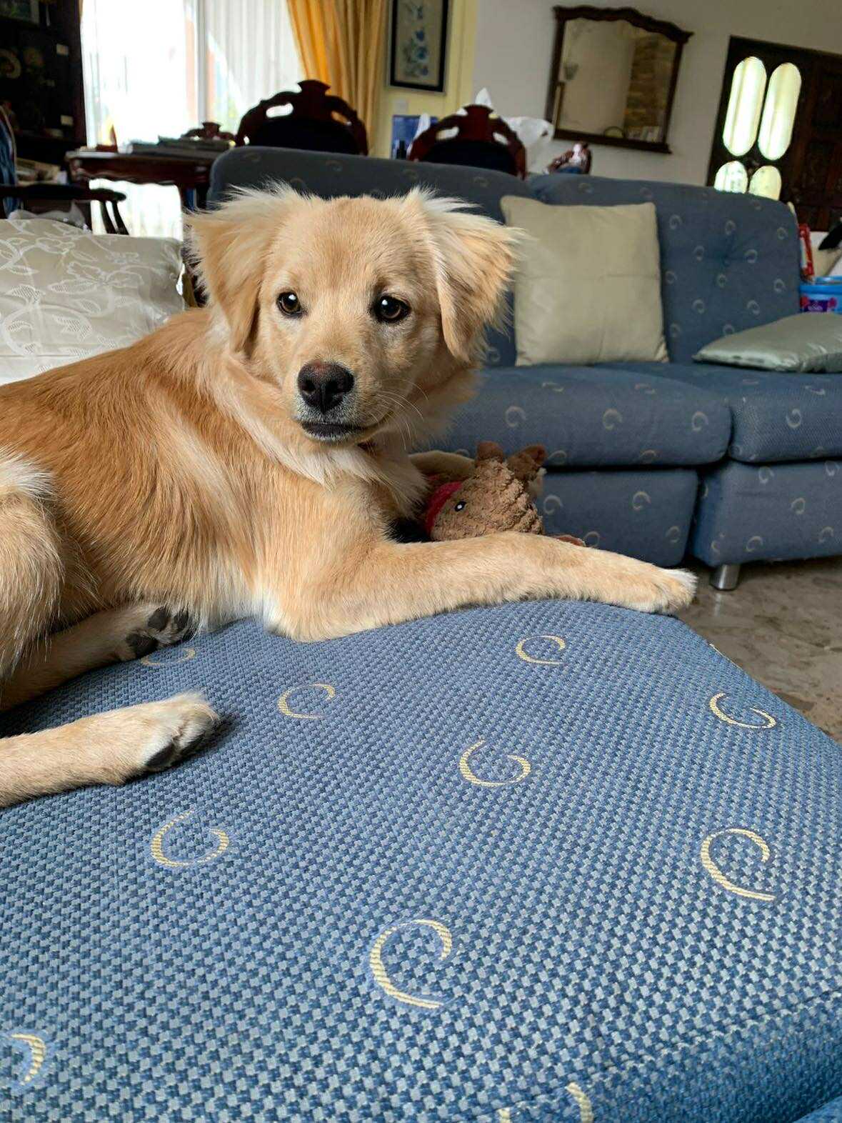 565713157_889109616772841_6141421911138530164_n