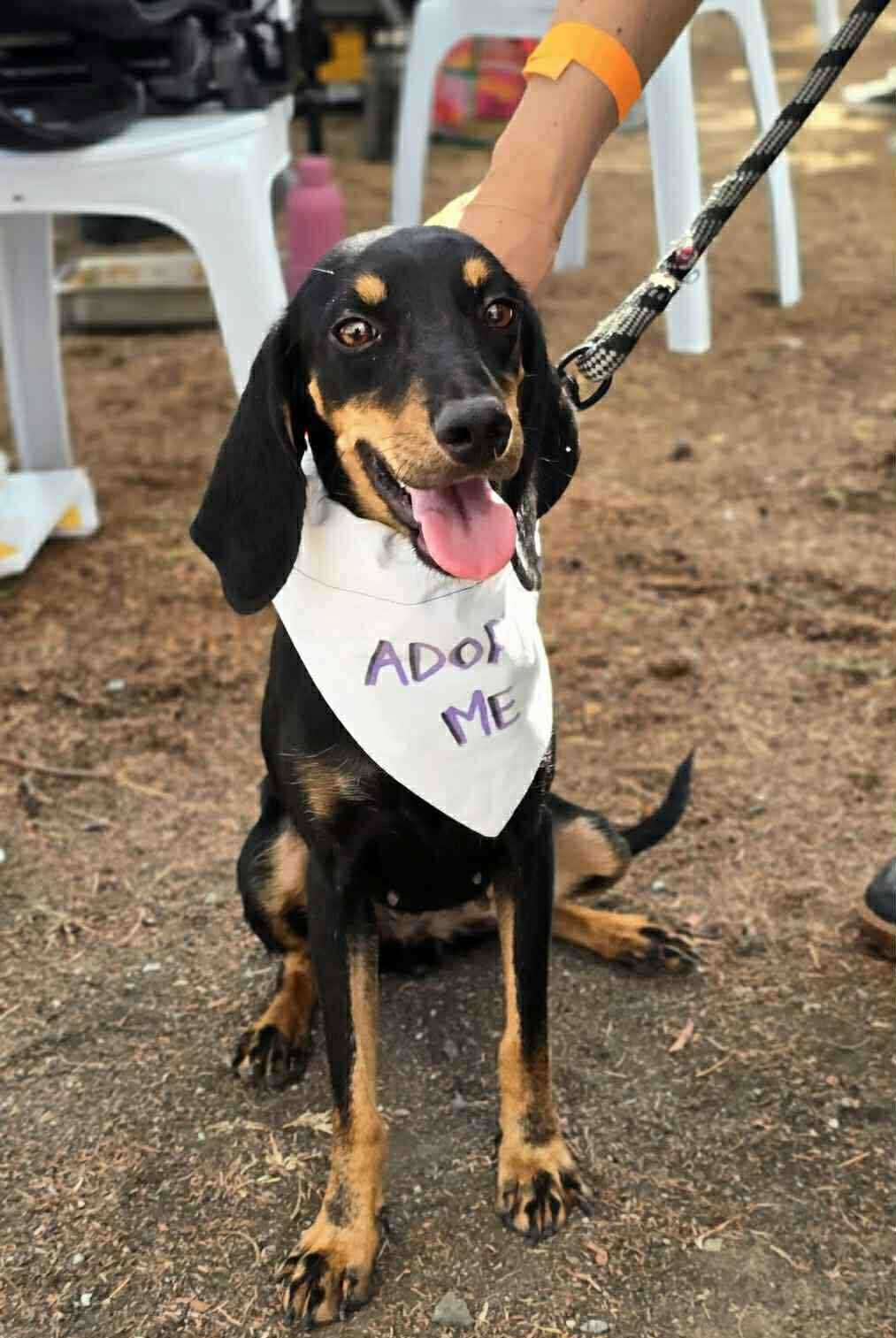 565930050_890658916617911_8989982634765709510_n