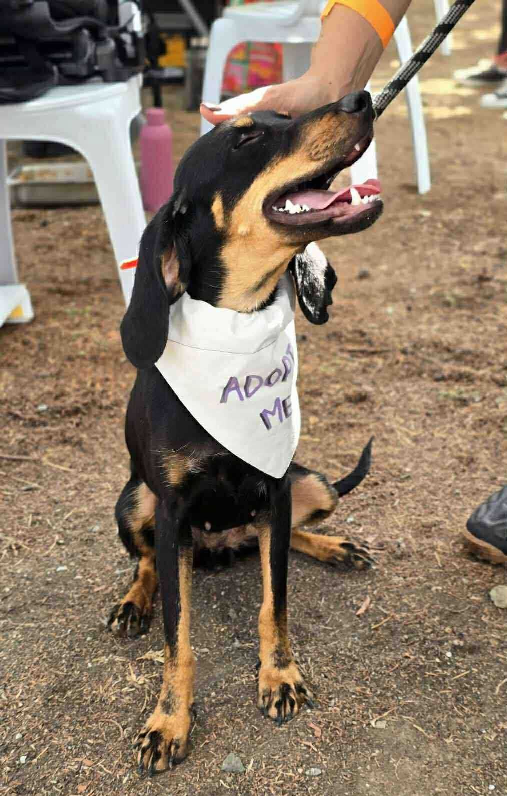 566240511_890658919951244_1234198700626268838_n